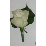 Wedding - Buttonhole 3 - Heidelberg Online Florist