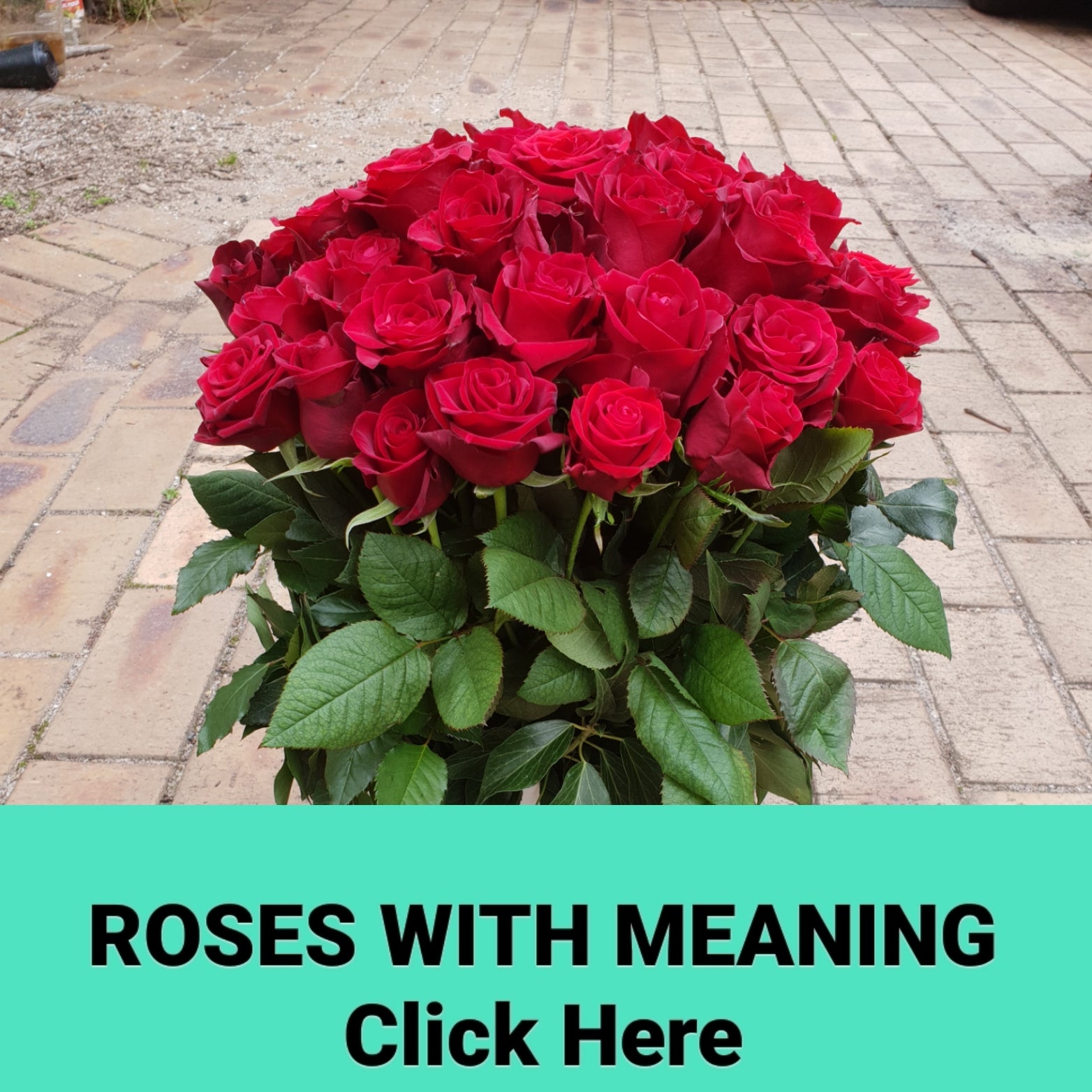 Roses with Meaning – Heidelberg Online Florist