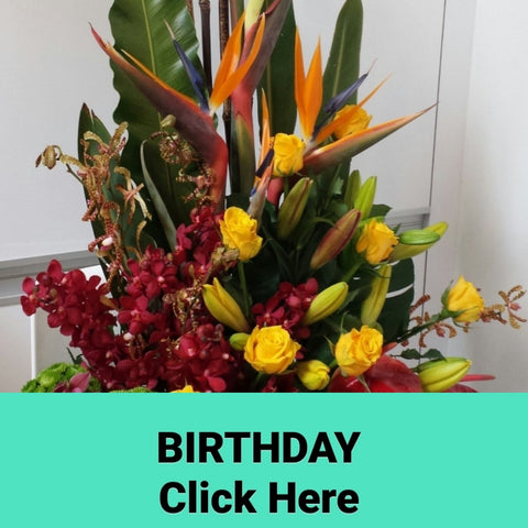 Birthday