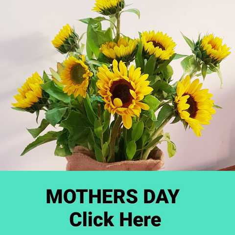 Mothers Day