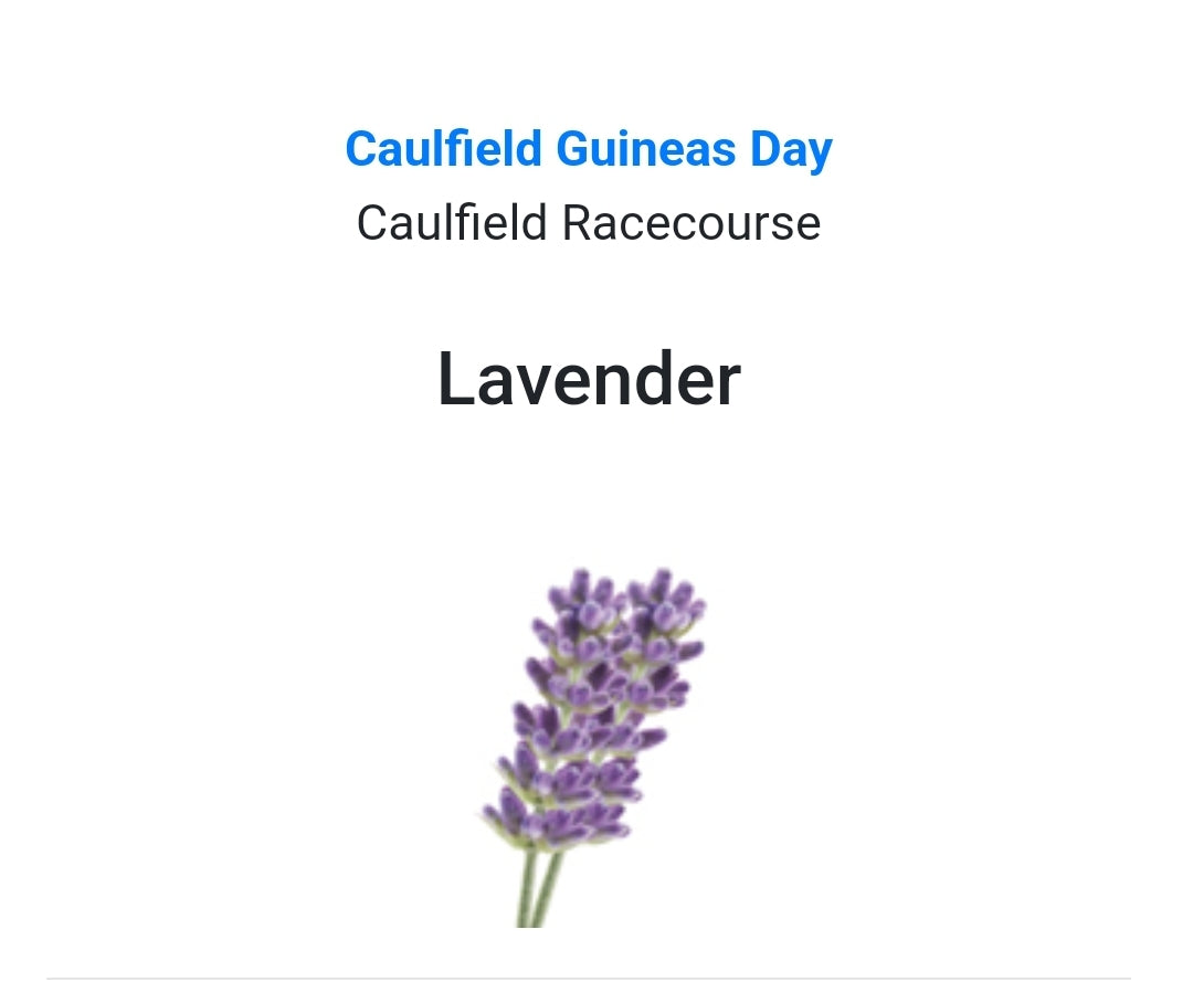 CAULFIELD GUINEAS DAY - Lavendar Buttonhole