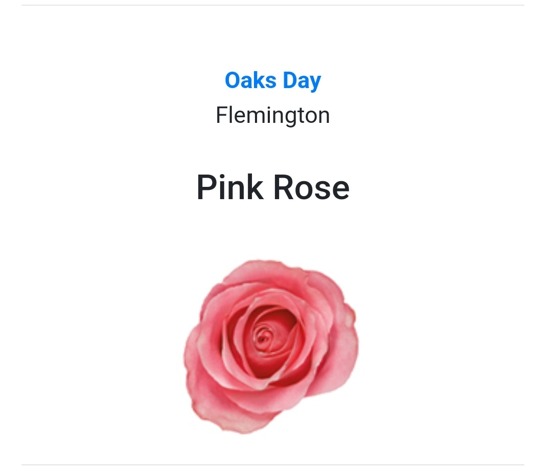 OAKS DAY - Pink Rose Buttonhole