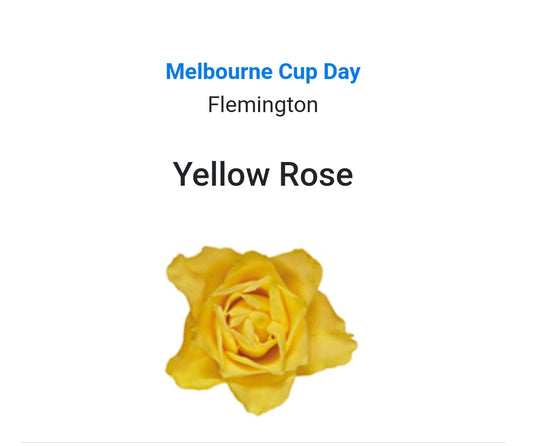 MELBOURNE CUP DAY - Yellow Rose Buttonhole