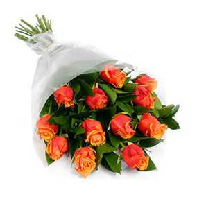 50cm Roses by the Stems wrapped - Heidelberg Online Florist