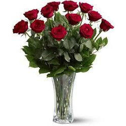 Valentines 12 Red Roses in a vase