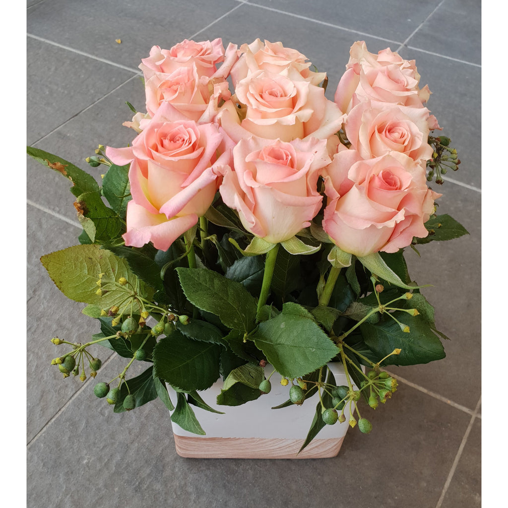 Rose Cube - Heidelberg Online Florist