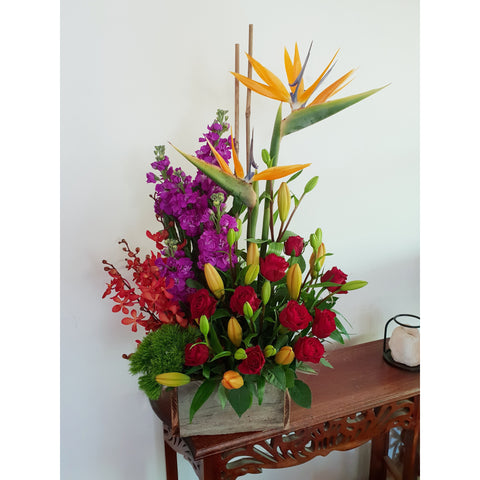 PARADISE - Pictured is Standard Size