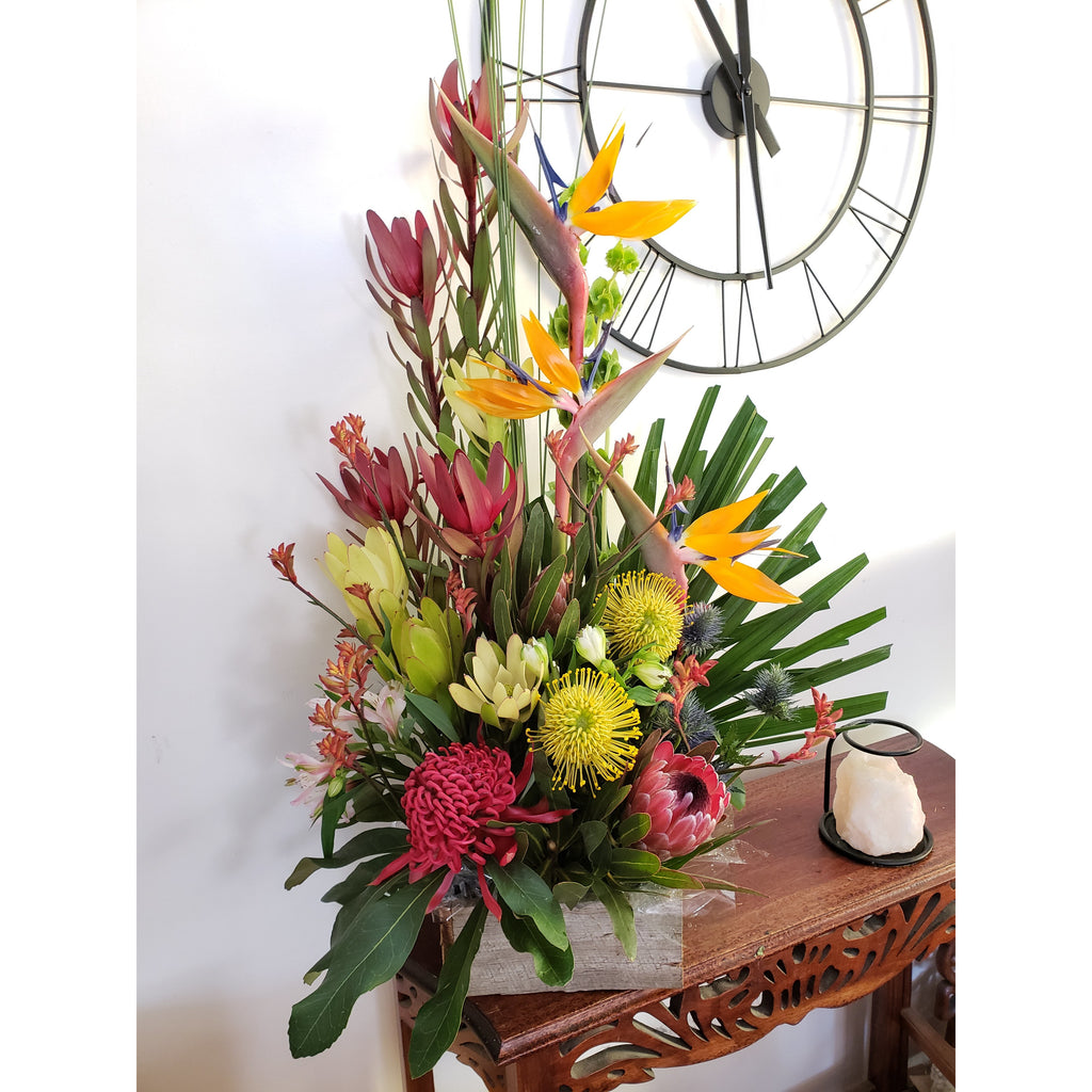 NATIVE BIRDS - Heidelberg Online Florist