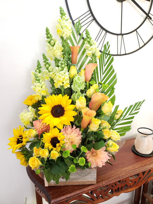 A RAY OF SUNSHINE - Heidelberg Online Florist