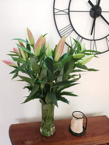 FRESH CUT FLOWERS - Oriental lilies