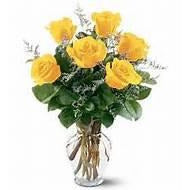 Valentines 6 Coloured roses in a vase
