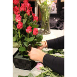 Florist's choice Box arrangement - Heidelberg Online Florist
