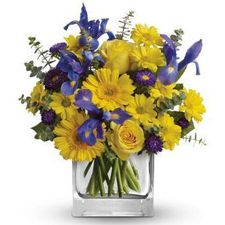 Sunshine Blues - Heidelberg Online Florist