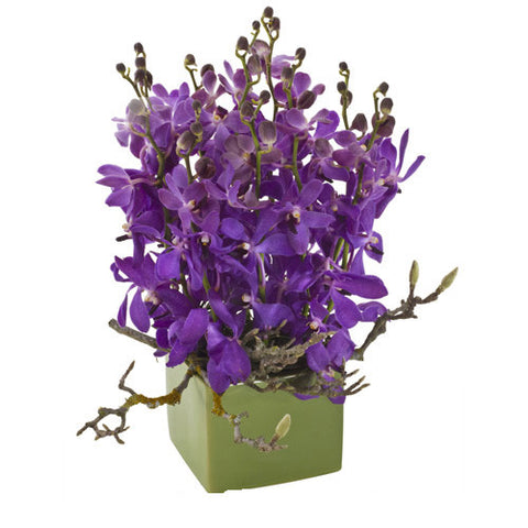 ORCHID CUBE