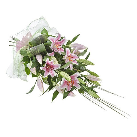 Oriental Lily Sheath
