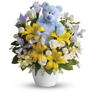 BABY BOY - Heidelberg Online Florist