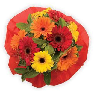 GERBRA BOUQUET - Heidelberg Online Florist