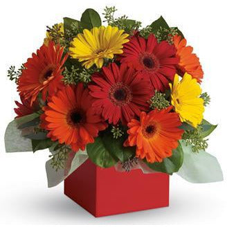 GERBRA BOX - Heidelberg Online Florist
