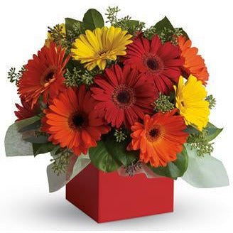 GERBRA BOX