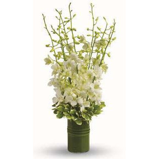 Singapore Orchid Vase - Heidelberg Online Florist