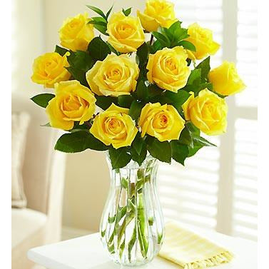 Valentines 12 Coloured Roses in a vase - Heidelberg Online Florist
